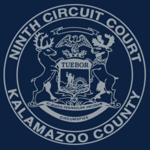 Port & Company® Women's Long Sleeve Fan Favorite™ V-Neck Tee Design