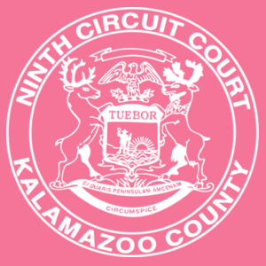 Port & Company® Women's Long Sleeve Fan Favorite™ V-Neck Tee Design